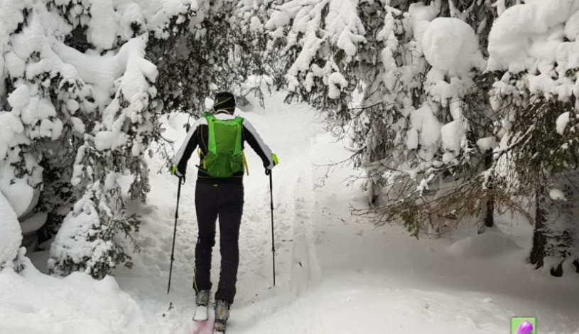 Hotel CROCUS **** Vysoké Tatry